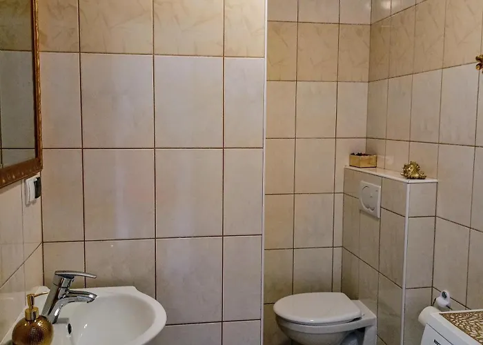 Rubin ジブヌベク