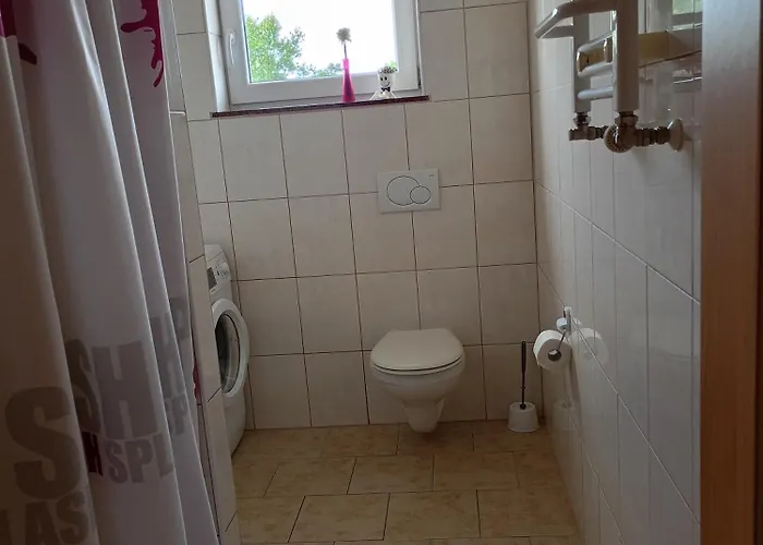 Rubin * ジブヌベク